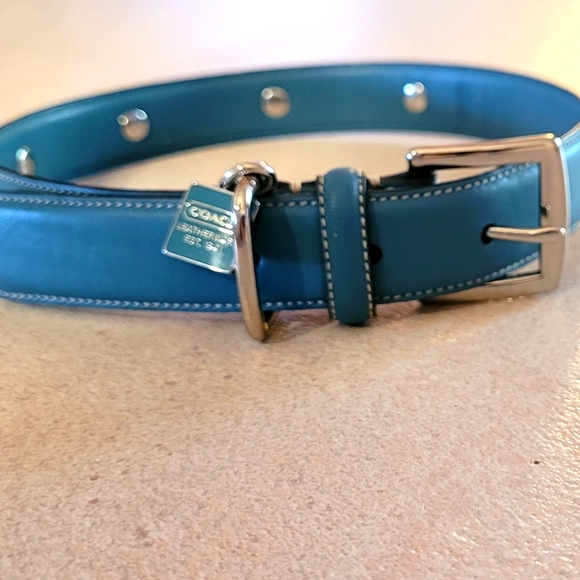Coach Dog collar